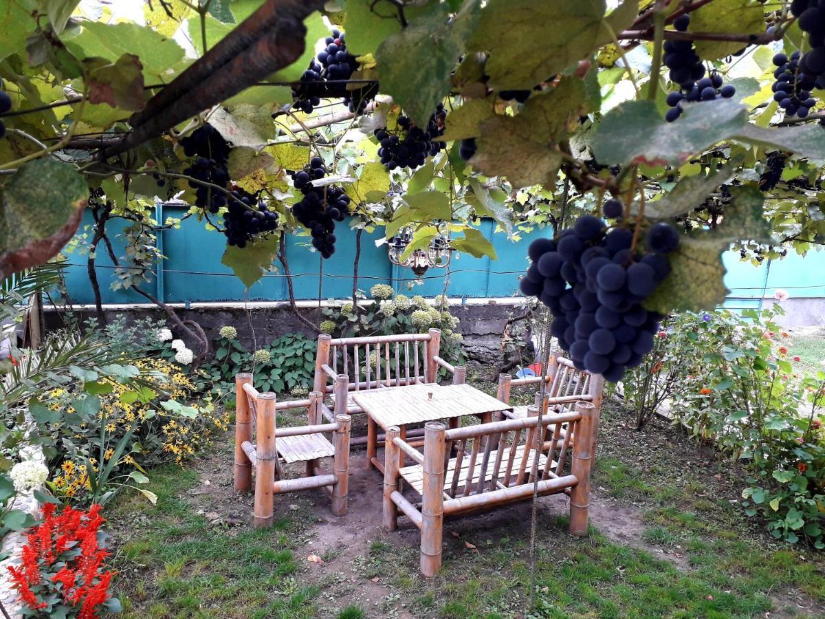 Holiday Home Borjomi ภายนอก รูปภาพ